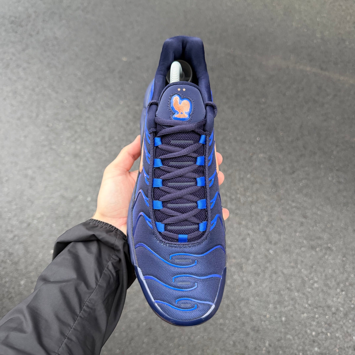 Nike TN Air Max Plus French Football Federation