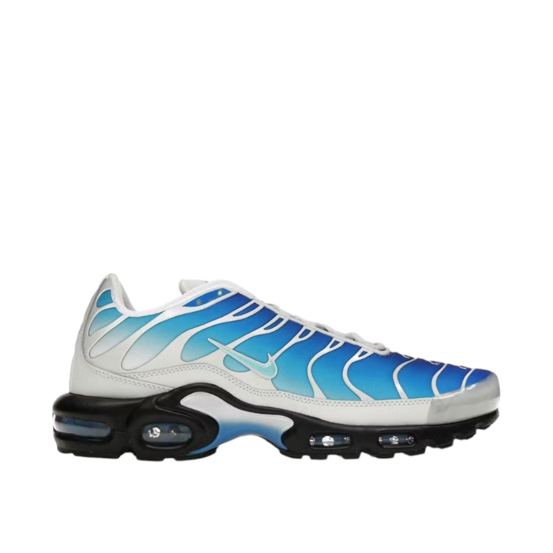 Nike TN Air Max Plus x One Block Down Photo Blue