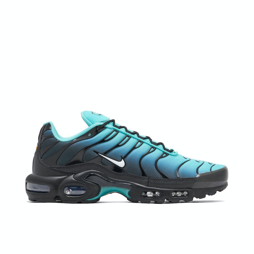 Nike Air Max Plus Black Aqua