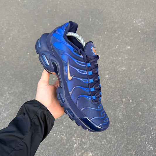 Nike TN Air Max Plus French Football Federation